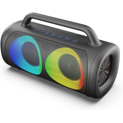 ENCEINTE SANS FIL RYGHT...