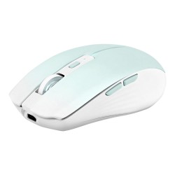 SOURIS SANS FIL RECHARGEABLE TNB DOUBLE CONNECTEURS