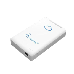 NAS DOMESTIQUE HALTERREGO