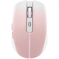 SOURIS SANS FIL TNB...