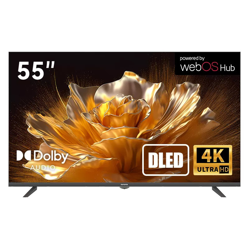 TV AIWA 55" WS-558N