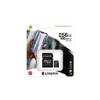 MicroSD 256GO + ADAPTATEUR SD