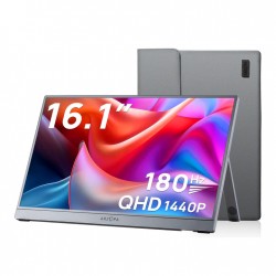 MONITEUR PORTABLE 16,1"...