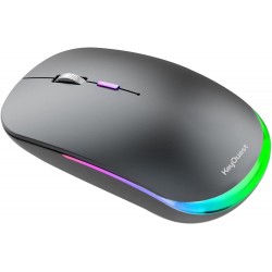 SOURIS SANS FIL KEYOUEST...